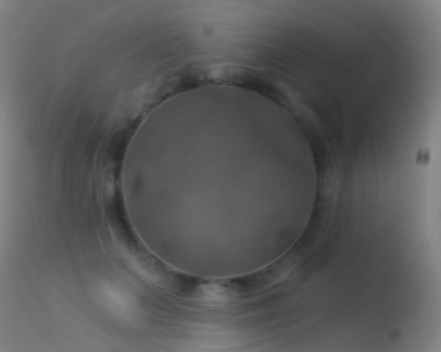 X0000113230703200909171539