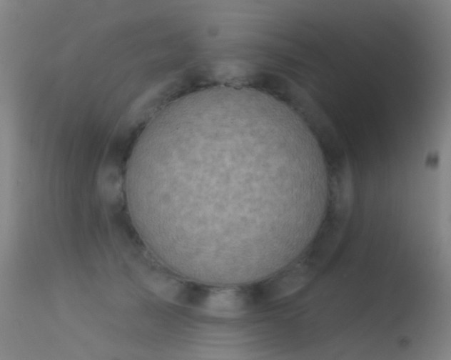 X0000113230705200909171539