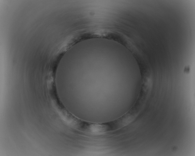 X0000113230707200909171539