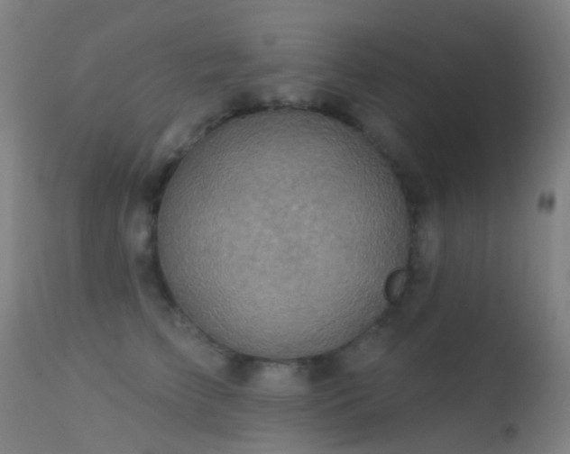 X0000113230709200909171539