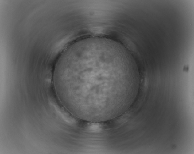 X0000113230710200909171539