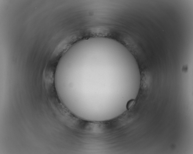 X0000113230713200909171539