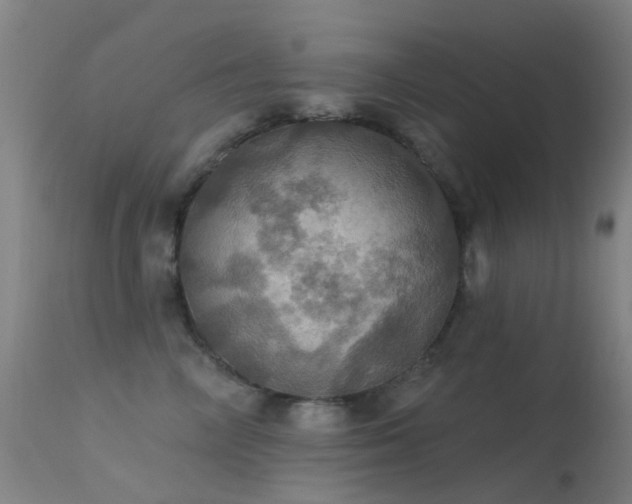 X0000113230714200909171539