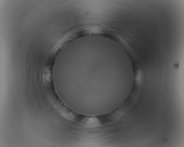 X0000113230715200909171539