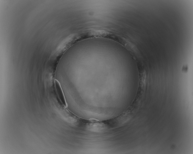 X0000113230716200909171539