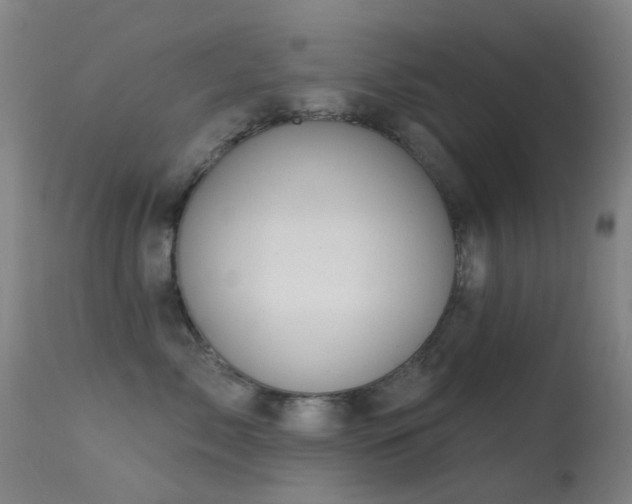 X0000113230717200909171539