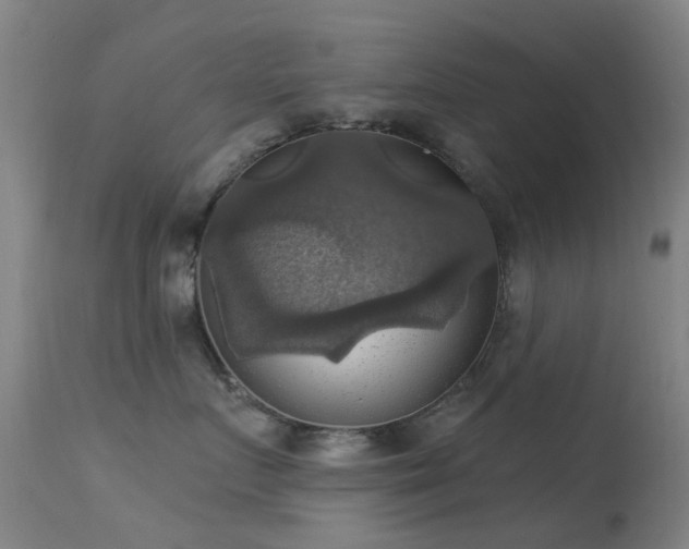 X0000113230719200909171539