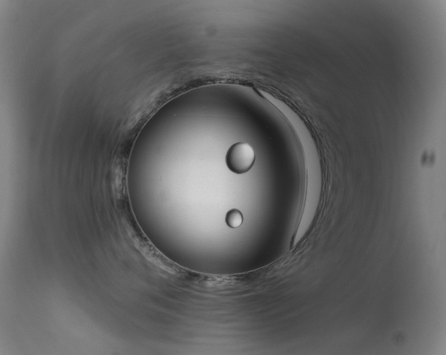 X0000113230720200909171539