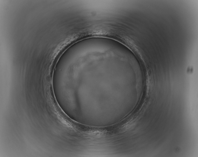 X0000113230721200909171538