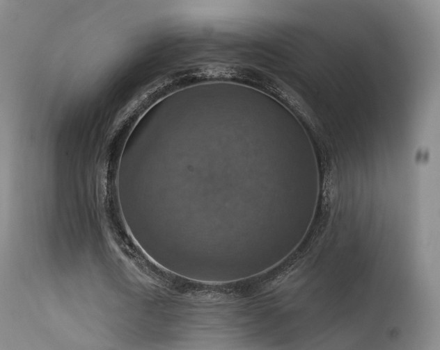 X0000113230722200909171538