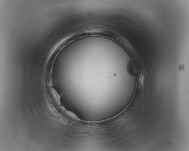 X0000113230724200909171538