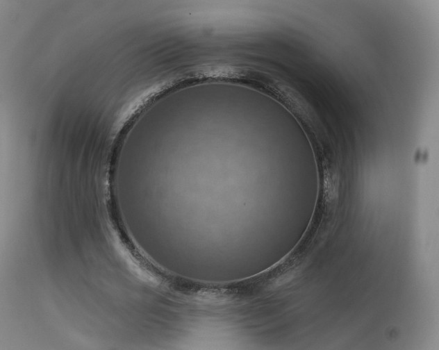 X0000113230725200909171538