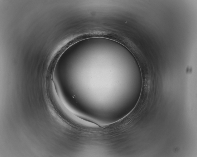 X0000113230726200909171538