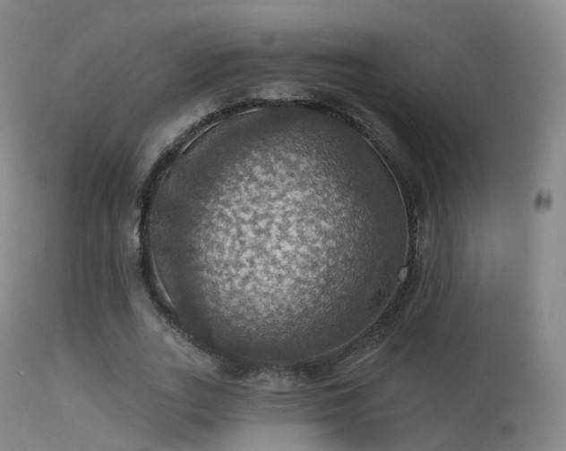 X0000113230727200909171538