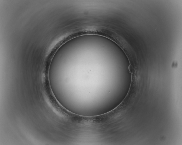 X0000113230728200909171538