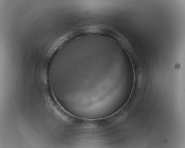 X0000113230729200909171538