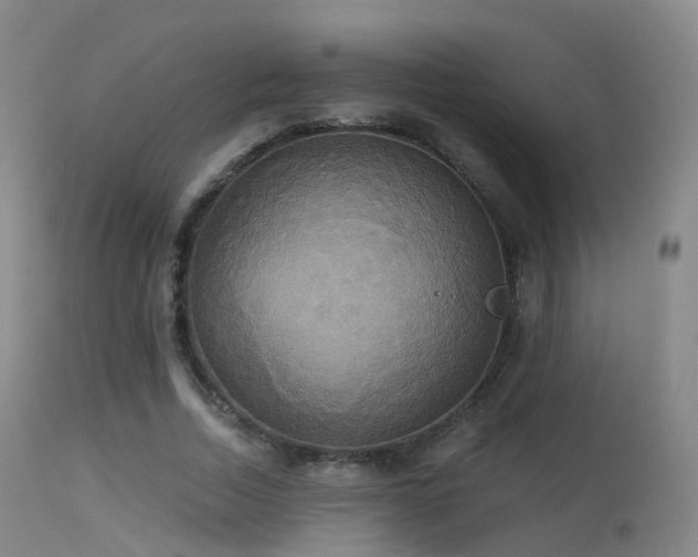 X0000113230730200909171538