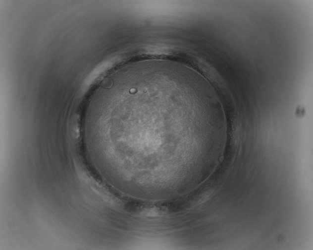 X0000113230731200909171538