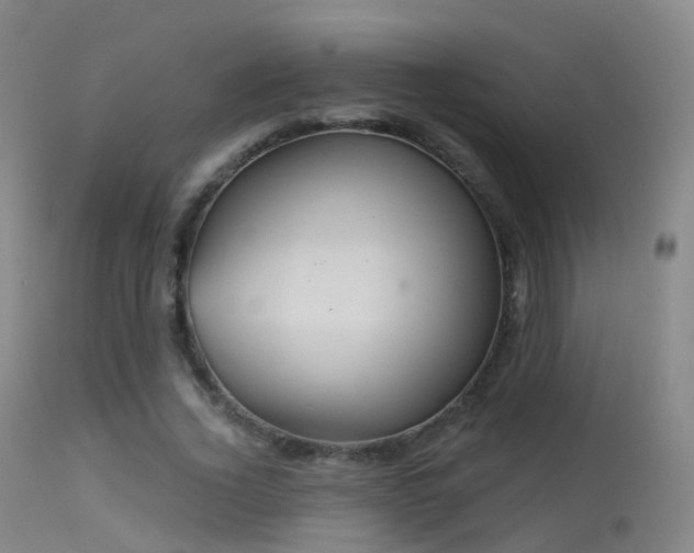 X0000113230732200909171538