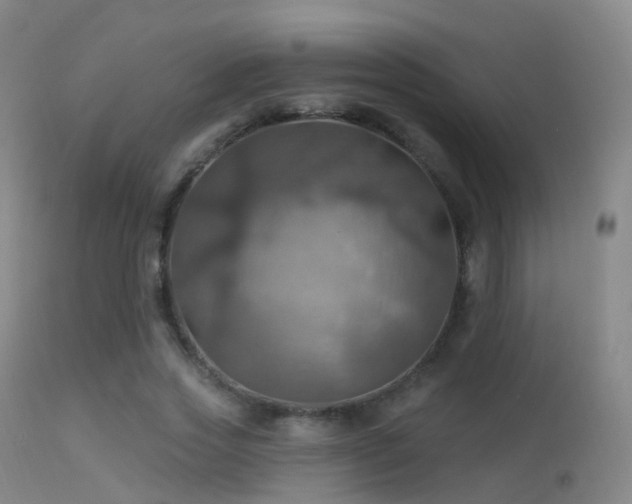 X0000113230733200909171538