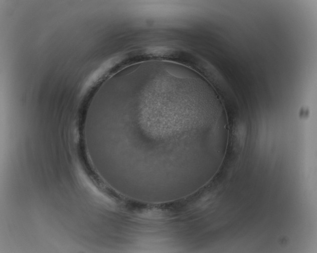 X0000113230734200909171538