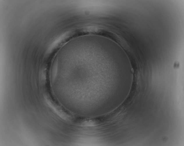 X0000113230735200909171538