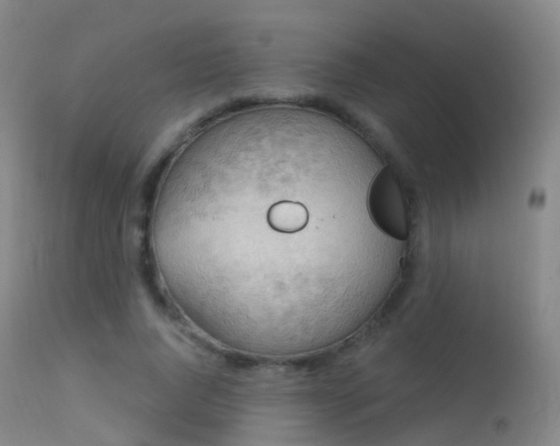 X0000113230736200909171538