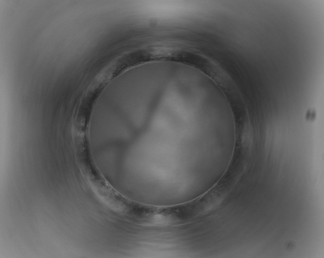 X0000113230737200909171538