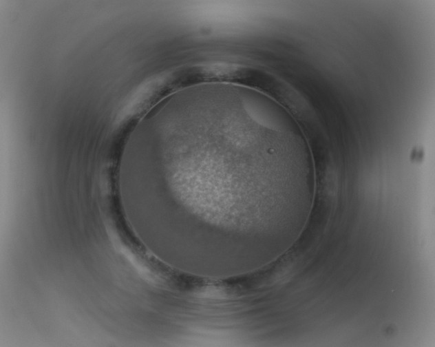 X0000113230738200909171538