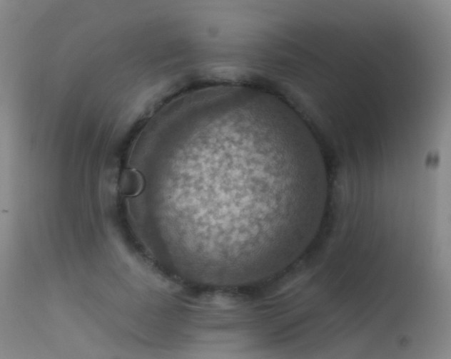 X0000113230739200909171538