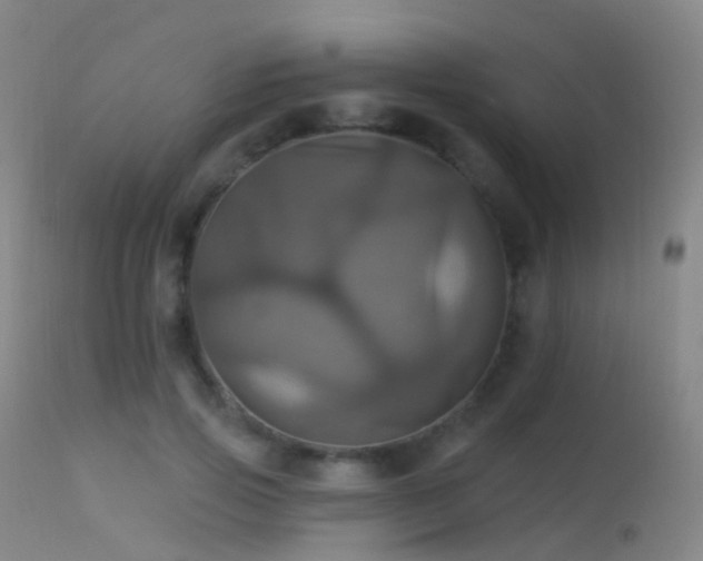 X0000113230741200909171538