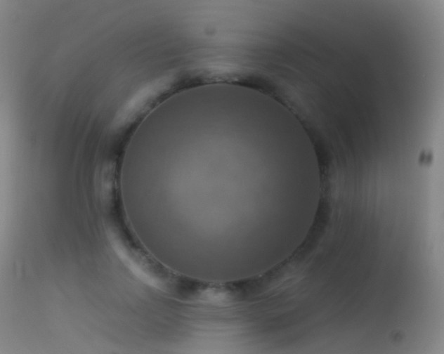 X0000113230742200909171538