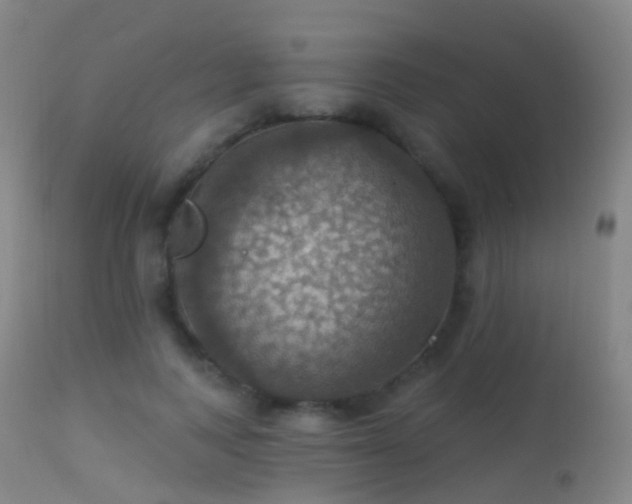 X0000113230743200909171538