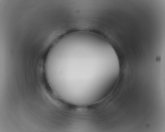 X0000113230744200909171538