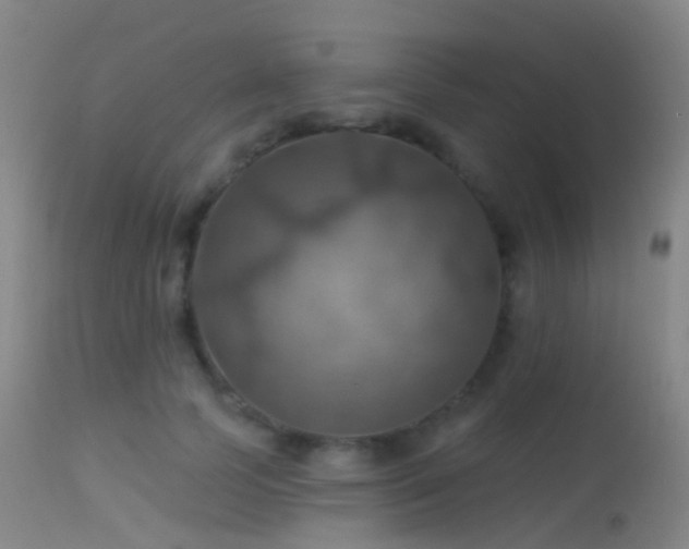 X0000113230745200909171538