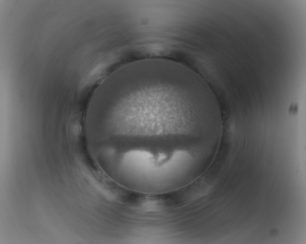 X0000113230746200909171538