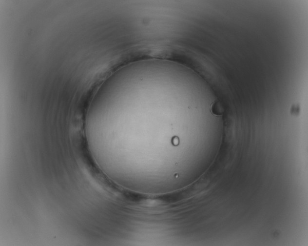 X0000113230748200909171538