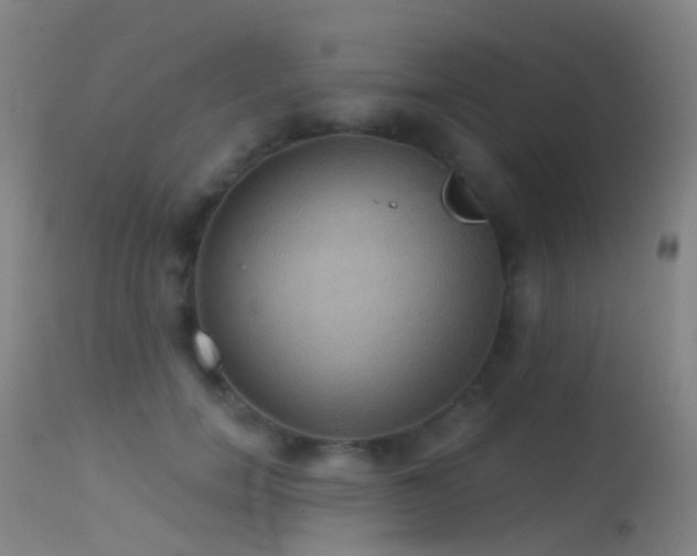 X0000113230750200909171539