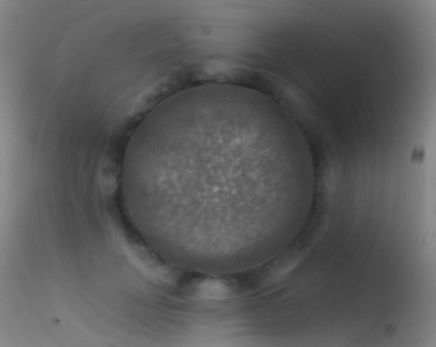 X0000113230751200909171539