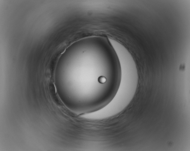 X0000113230752200909171539