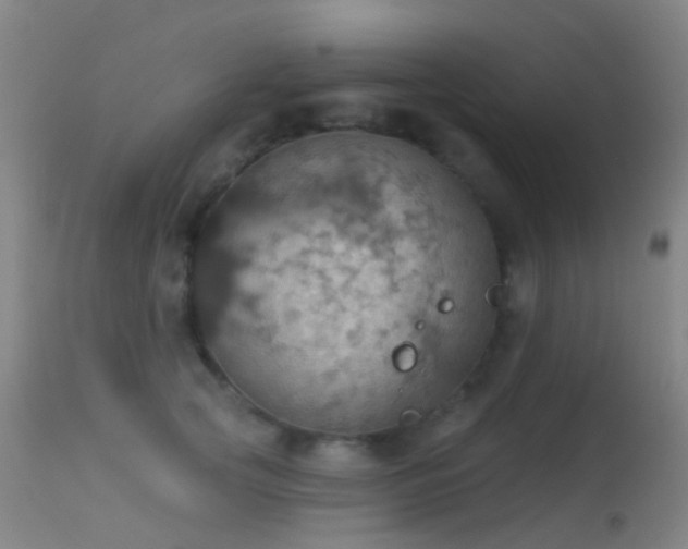 X0000113230753200909171539