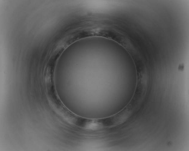 X0000113230754200909171539