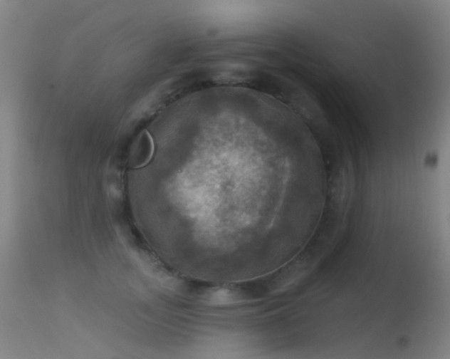 X0000113230755200909171539