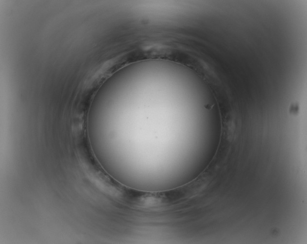 X0000113230756200909171539