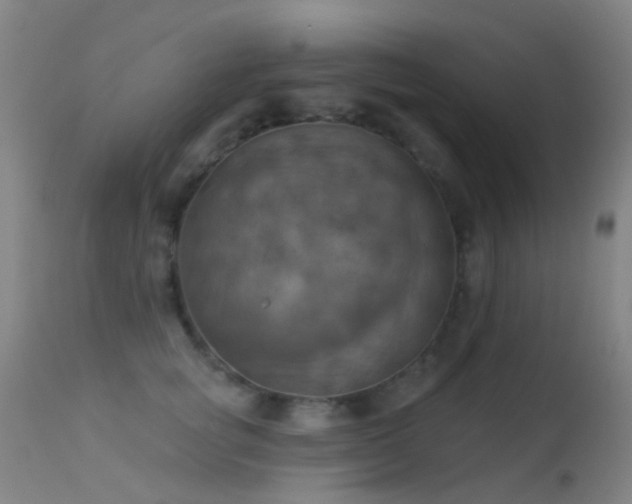 X0000113230757200909171539