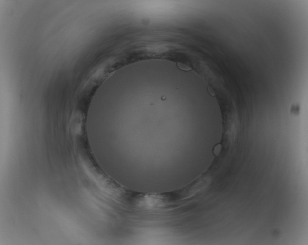 X0000113230758200909171539