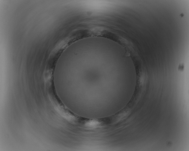 X0000113230759200909171539