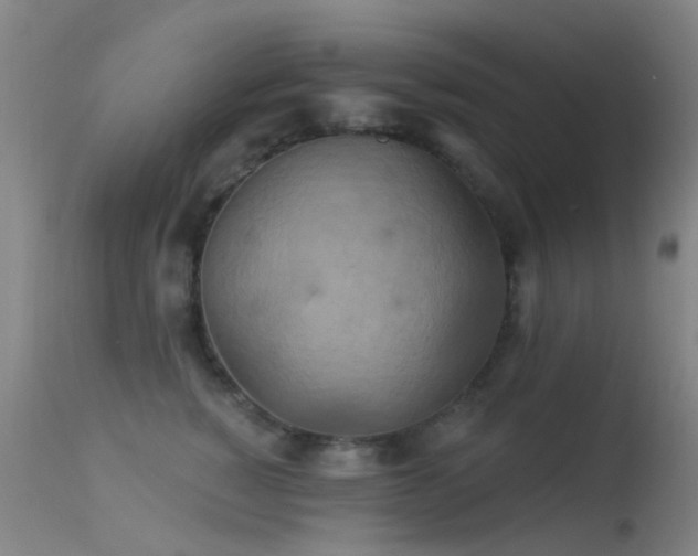 X0000113230760200909171539