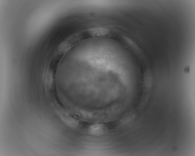 X0000113230761200909171539