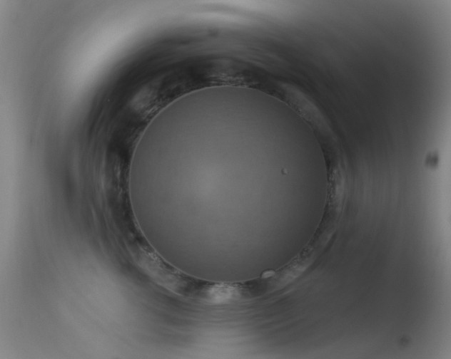 X0000113230762200909171539